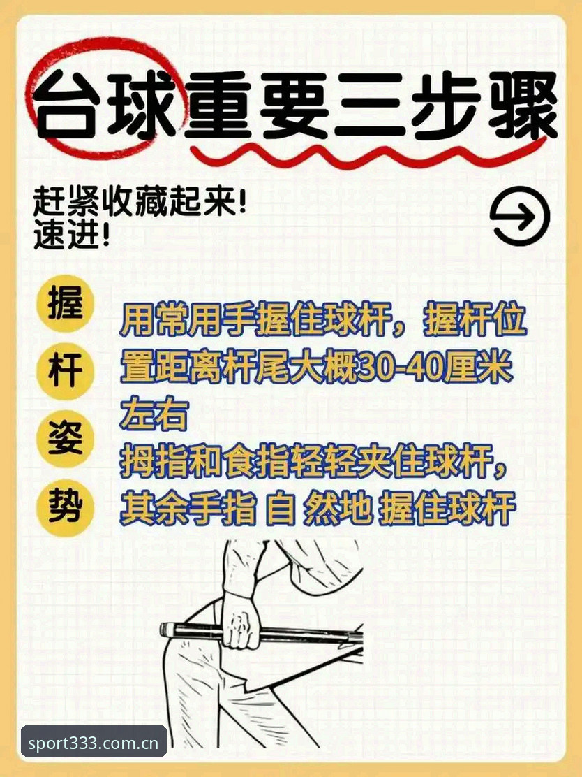 333体育SPT下载实用指南：新手也能轻松上手的完整教程